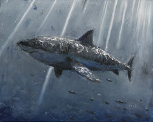 Great White Study, oil on canvas, 16x20", 2020 SOLD